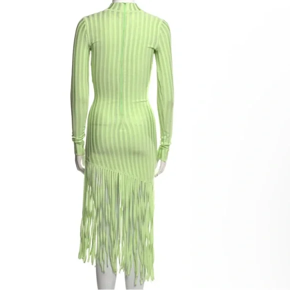 Ronny Kobo Lime Green Adkins Knit Fringe Dress - Picture 13 of 17